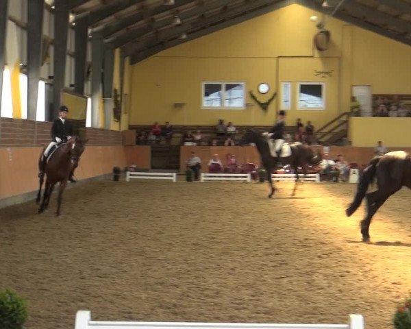 Reitturnier Frechen-Grefrath - Sonnenhof 2018