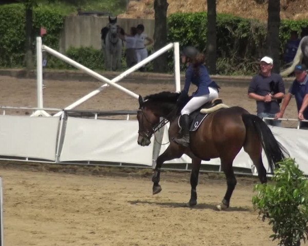 Reitturnier Frechen-Grefrath - Sonnenhof 2018