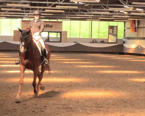 Pfingssturnier Bochum-Nord 2018