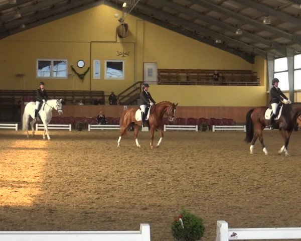 Reitturnier Frechen-Grefrath - Sonnenhof 2018