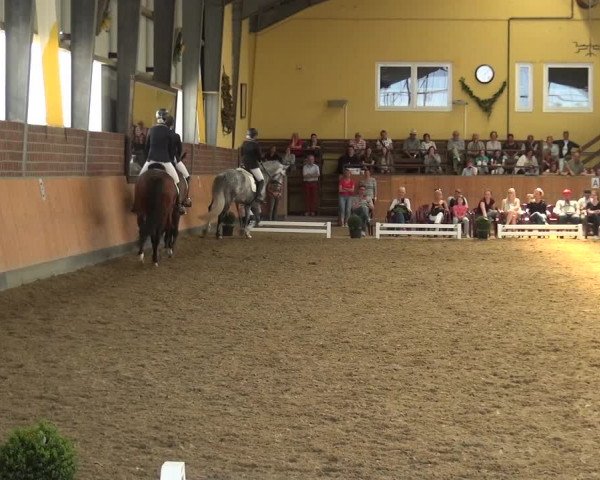 Reitturnier Frechen-Grefrath - Sonnenhof 2018