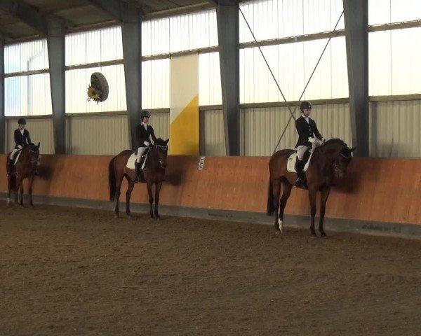 Reitturnier Frechen-Grefrath - Sonnenhof 2018