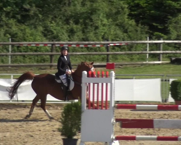 Reitturnier Frechen-Grefrath - Sonnenhof 2018