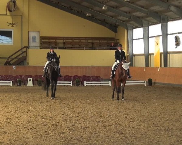 Reitturnier Frechen-Grefrath - Sonnenhof 2018