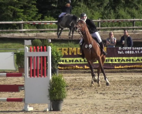 Reitturnier Frechen-Grefrath - Sonnenhof 2018