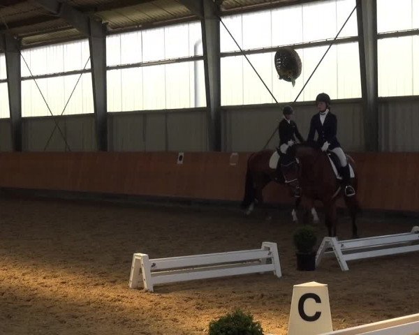 Reitturnier Frechen-Grefrath - Sonnenhof 2018