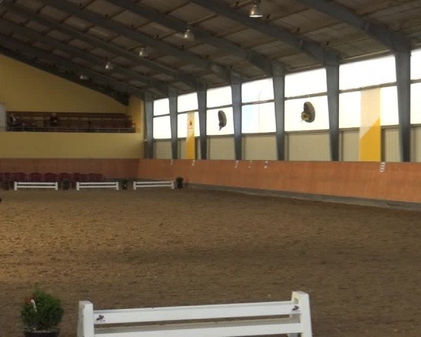 Reitturnier Frechen-Grefrath - Sonnenhof 2018