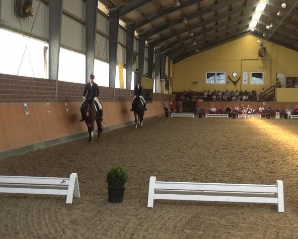 Reitturnier Frechen-Grefrath - Sonnenhof 2018
