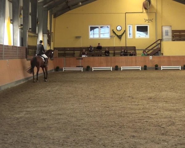 Reitturnier Frechen-Grefrath - Sonnenhof 2018