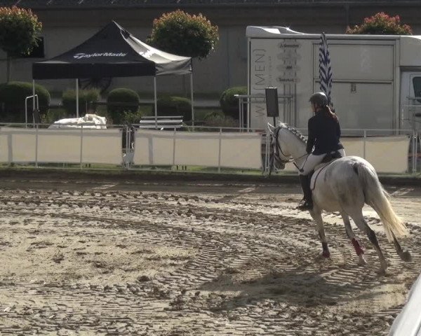Reitturnier Frechen-Grefrath - Sonnenhof 2018