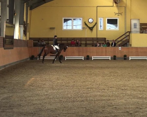 Reitturnier Frechen-Grefrath - Sonnenhof 2018