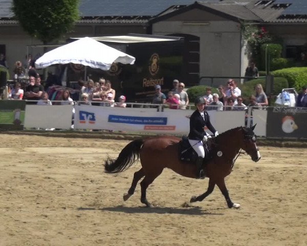 Reitturnier Frechen-Grefrath - Sonnenhof 2018