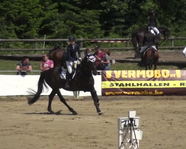 Reitturnier Frechen-Grefrath - Sonnenhof 2018