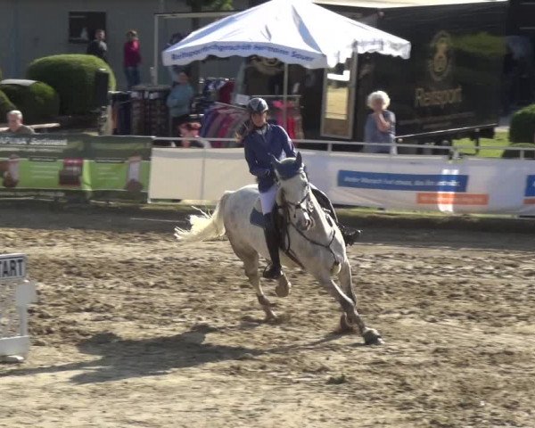 Reitturnier Frechen-Grefrath - Sonnenhof 2018
