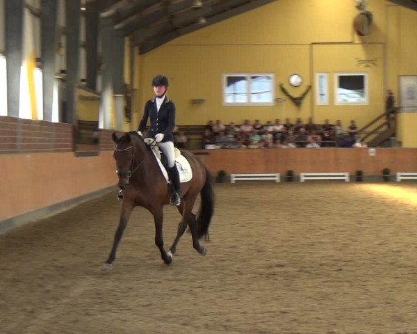 Reitturnier Frechen-Grefrath - Sonnenhof 2018