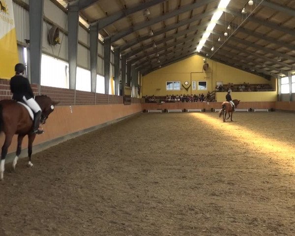 Reitturnier Frechen-Grefrath - Sonnenhof 2018