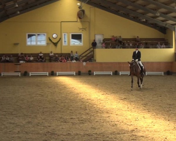 Reitturnier Frechen-Grefrath - Sonnenhof 2018