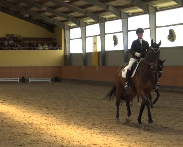 Reitturnier Frechen-Grefrath - Sonnenhof 2018