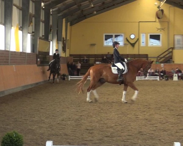 Reitturnier Frechen-Grefrath - Sonnenhof 2018