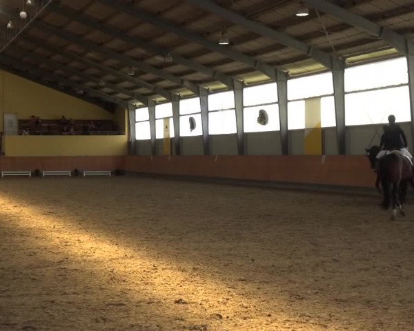 Reitturnier Frechen-Grefrath - Sonnenhof 2018