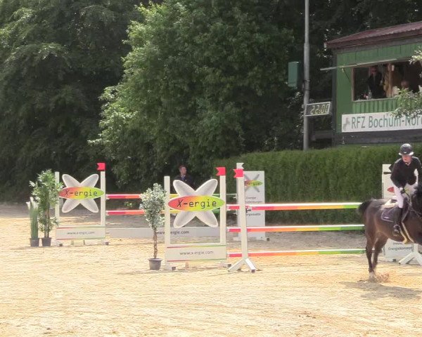 Pfingssturnier Bochum-Nord 2018