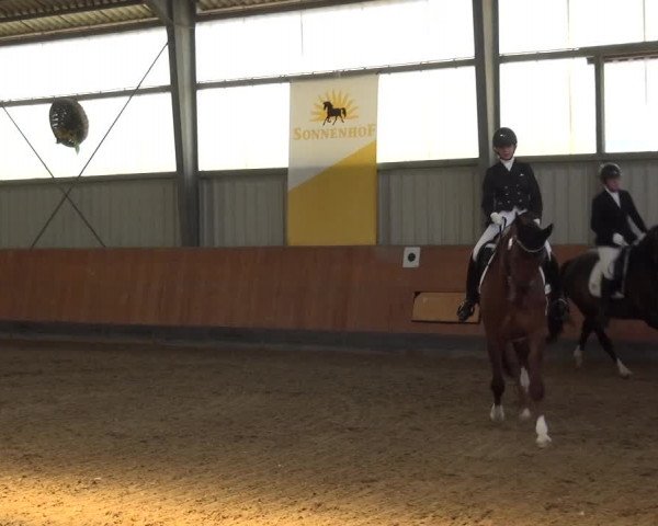 Reitturnier Frechen-Grefrath - Sonnenhof 2018