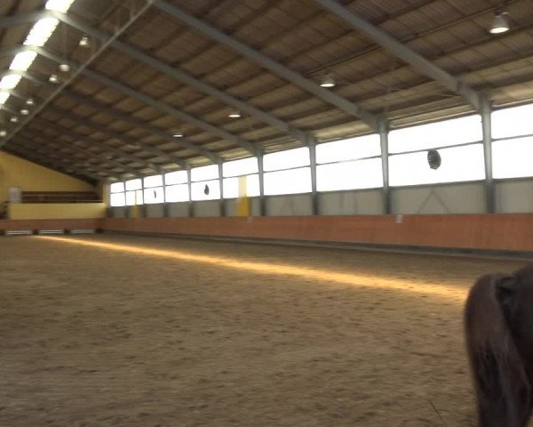 Reitturnier Frechen-Grefrath - Sonnenhof 2018