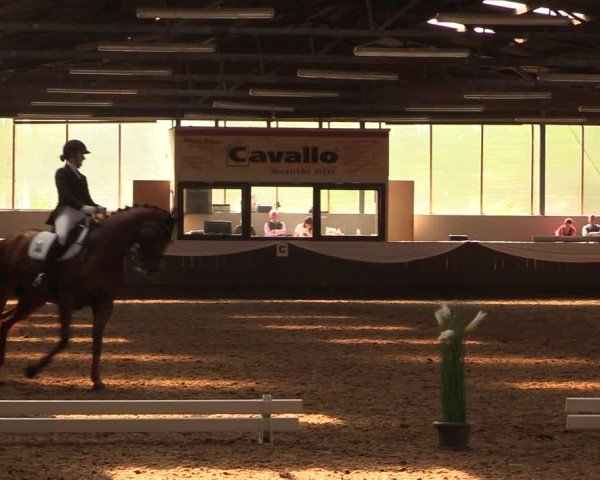 Pfingssturnier Bochum-Nord 2018