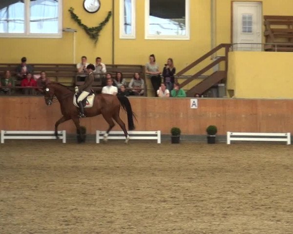 Reitturnier Frechen-Grefrath - Sonnenhof 2018