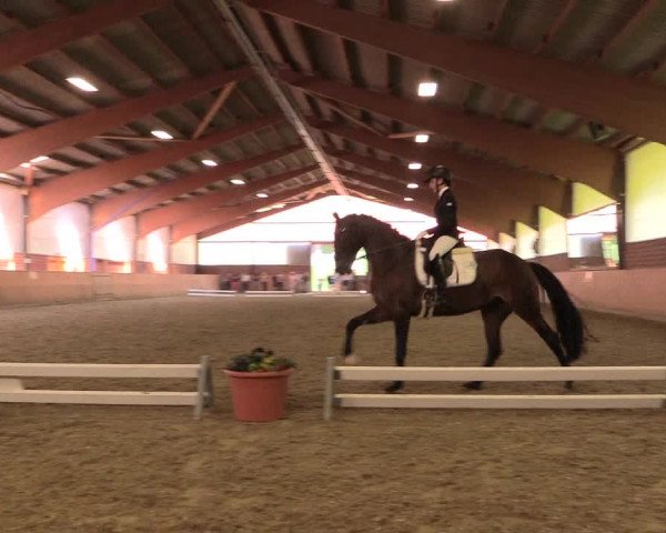 Reitturnier Iserlohn-Kalthof 2018