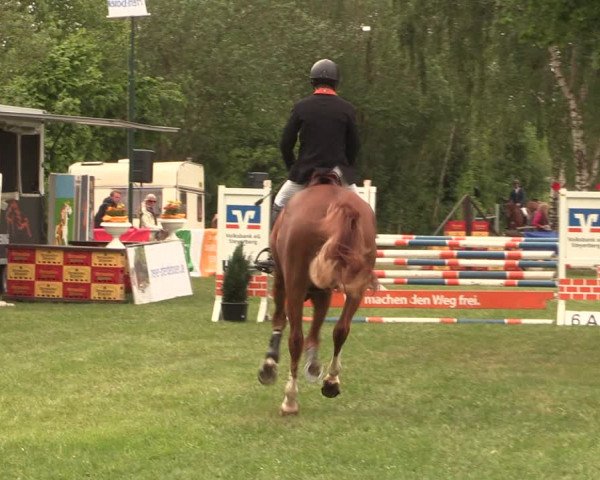Reitturnier Kreuzkrug 2018