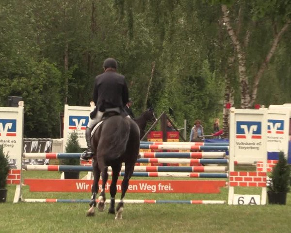 Reitturnier Kreuzkrug 2018
