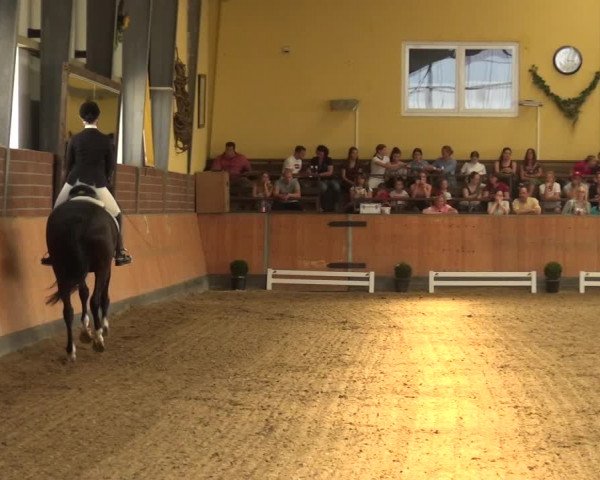 Reitturnier Frechen-Grefrath - Sonnenhof 2018
