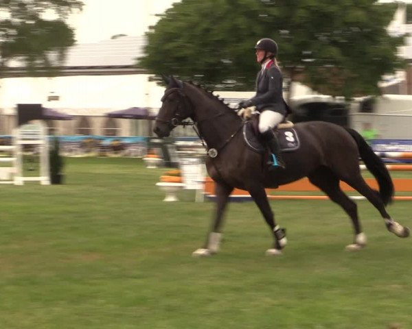 Reitturnier Kreuzkrug 2018