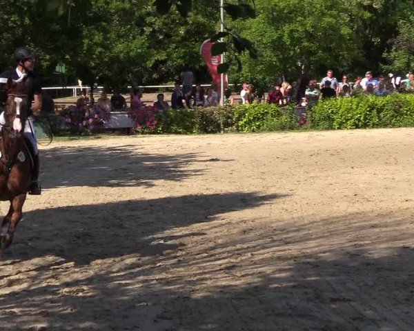 Pfingssturnier Bochum-Nord 2018