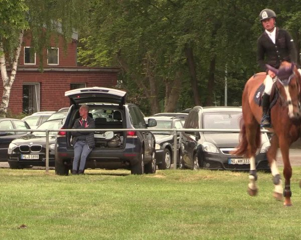 Reitturnier Kreuzkrug 2018