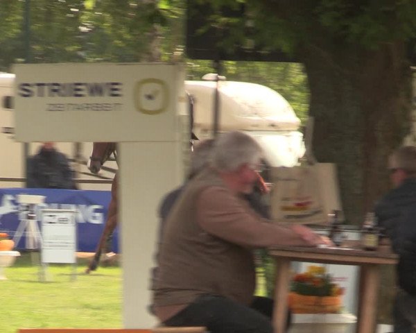 Reitturnier Kreuzkrug 2018