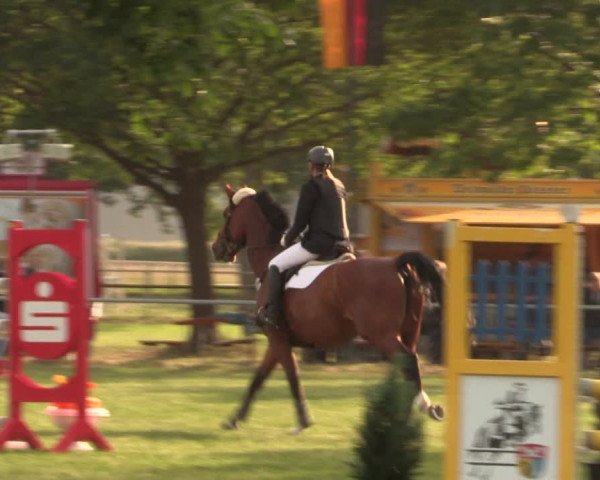 Reitturnier Kreuzkrug 2018