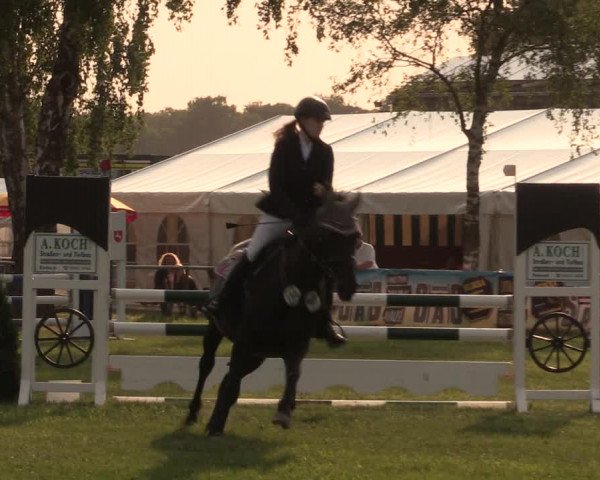 Reitturnier Kreuzkrug 2018