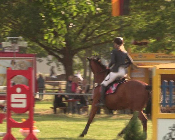 Reitturnier Kreuzkrug 2018