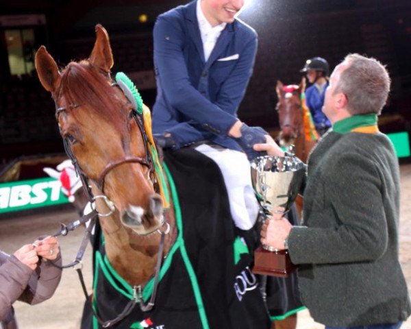 jumper Kokosnuss (Westphalian, 2011, from Contendro II)