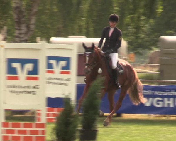 Reitturnier Kreuzkrug 2018