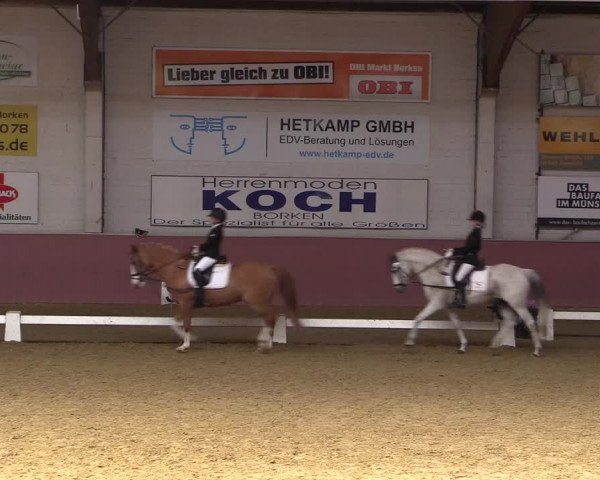 Pfingstturnier Borken 2018