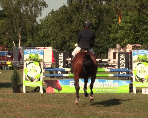Reitturnier Kreuzkrug 2018