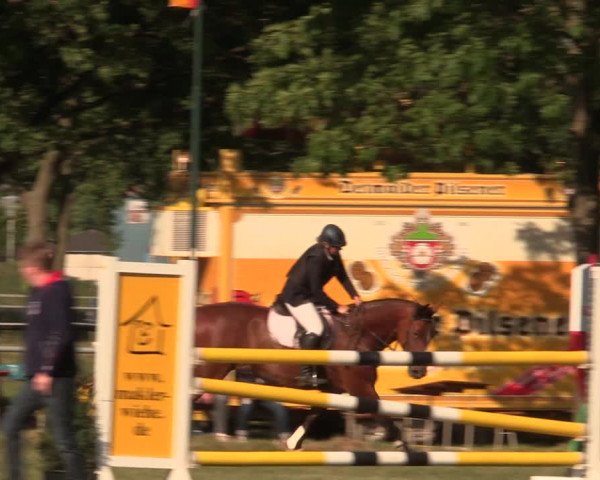 Reitturnier Kreuzkrug 2018