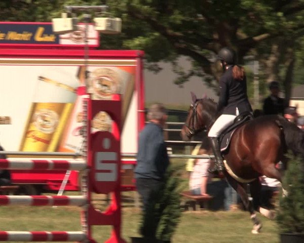 Reitturnier Kreuzkrug 2018