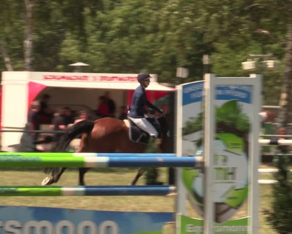Reitturnier Kreuzkrug 2018