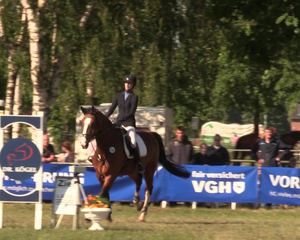 Reitturnier Kreuzkrug 2018