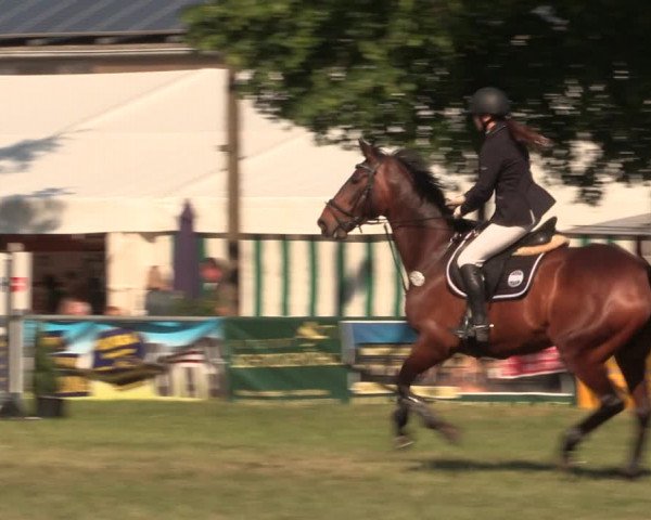 Reitturnier Kreuzkrug 2018