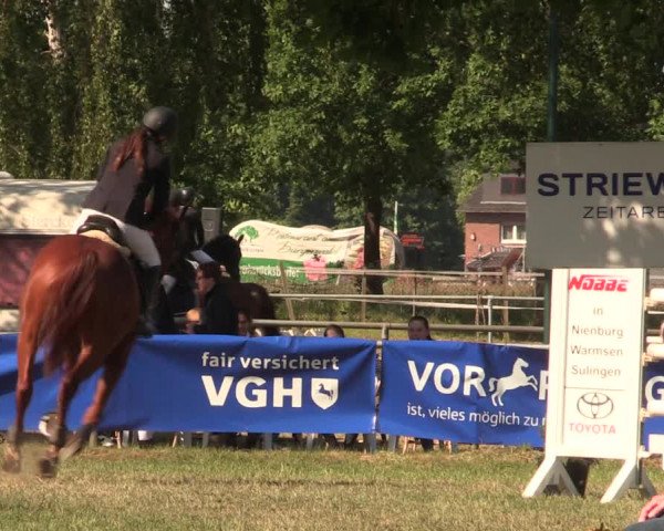 Reitturnier Kreuzkrug 2018